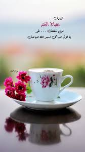 صباح المسره tableware glassware kitchen