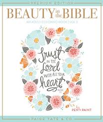 pdf be well coloring journal: Amazon Com It Is Well With My Soul Adult Coloring Book Coloring Faith Zondervan Books
