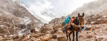 Finally, return to marrakech.places you will visit:atlas mountains, desert agafay, berber villages, atlas waterfulls, asni valley, imlil valley. Hike The Atlas Mountains Much Better Adventures