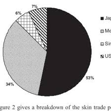 It includes hs product codes and with their dollar values. Pdf Proceedings Of The Workshop On Trade And Conservation Of Pangolins Native To South And Southeast Asia