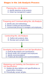Stages In The Job Analysis Process What Is Human Resource
