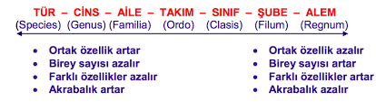 Https Acikders Ankara Edu Tr Mod Resource View Php Id 103712