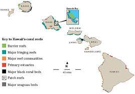 For maps and directions to reef development hawaii inc view the map to the right. Hawaiian Coral Reefs