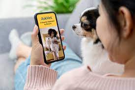 We did not find results for: The Best Veterinary Telemedicine Services For Your Pet 2021 Wired