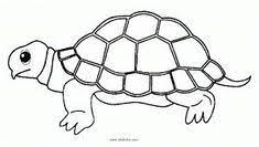 53 kolase hewan gajah hd gambar hewan sketsa hewan. Sketsa Gambar Kolase Hewan Kura Kura
