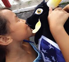 A Teatralidade no Festival Folclórico de Parintins: O Jogo dos Brincantes  dos Bois-Bumbás