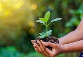 First held in 1974, it has been a platform for raising awareness on environmental issue such as marine pollution. World Environment Day The Northern Forum
