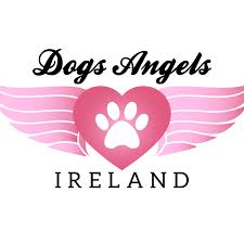 Dogs Angels Ireland
