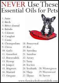 Never Use These Essential Oils For Pets The Miracle Of Essential Oils Essential Oils Dogs Essential Oils Dog Essentials