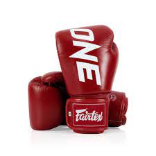 ONE X Fairtex Boxing Gloves 