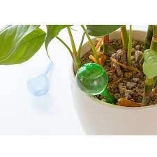 Alotm 10pcs Plant Watering Bulbs Details Can Be Found By Clicking On The Image It Is An Affiliate Link To Amazon Plant Watering Bulbs Plants Watering Bulbs