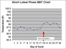 day 21 progesterone levels chart uk bedowntowndaytona com