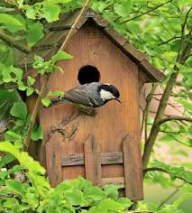 Dans le fond du nichoir, percer quatre trous de 5 mm de diamètre. Nichoir A Oiseaux Le Guide Pratique Pour Bien Le Choisir