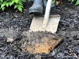 Have any questions about what i. How To Improve Clay Soil In 6 Steps Tenth Acre Farm