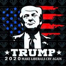 We did not find results for: Donald Trump Make Liberals Cry Again