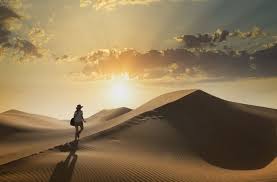 Our hosted singles trips are ideal for. Solo Vacations The 30 Best Places To Travel Alone Travel Us News