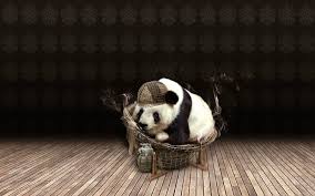 If you're in search of the best cute panda wallpapers, you've come to the right place. 50 4k Panda Wallpapers Hd For Desktop 1440p 2020 Page 2 Of 2 We 7