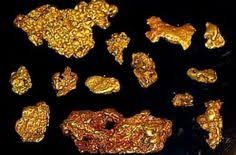 If you are looking for the best gold nugget. 160 Gold Ideas Gold Prospecting Gold Rocks And Minerals
