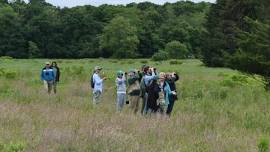 Birds of the Meadow and Woods−Eric Salzman Memorial Bird Walk