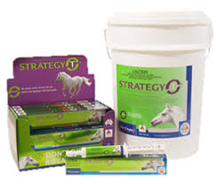 Choose The Correct Worming Horse Strategy