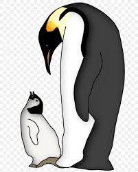 3d wearing sunglasses penguins, 3d animals black emperor penguin, emperor penguins, black png. Emperor Penguin Clip Art Bird Image Png 703x1024px Penguin Animal Beak Bird Cartoon Download Free