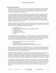 Consulting Business Plan Template Lovely Consulting Business Plan Executive Summary Sample Plan Ll In 2020 Business Plan Template Consulting Business Business Planning