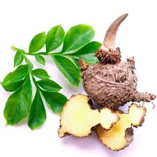Glucomannan - Konjac root | Goerlich Pharma