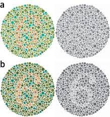 But others have trouble recognizing blue and yellow. Points Of View Color Blindness Nature Methods
