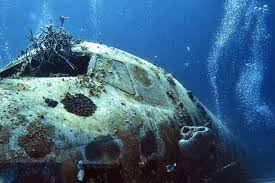 Aruba Scuba Diving And Snorkeling 10best Aruba Scuba Reviews
