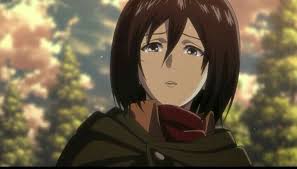هجوم العمالقة أحتاج ك ليفاي Attack On Titan Anime Attack On Titan Mikasa