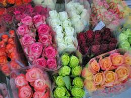 Durch eine zusammenarbeit mit der firma floral special können sie ihre kunden mit einem extra großen sortiment überraschen. S Ecuador Rosen Mix L5 20er Bund Berner Blumenborsen