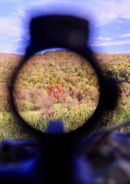 Vortex optics spitfire ar 1x prism scope with drt. Vortex Spitfire Ar Prism Review Gunsamerica Digest
