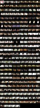 KOREAN Movie] Actress AV: Park Sui - Sex Plate 17. 2017  PORN eX Idol KPOP