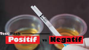 Warna dan bau air kencing membawa makna yang penting tentang status kesihatan anda. Perbedaan Hasil Tes Kehamilan Positif Dan Negatif Pregnancy Test Youtube