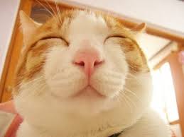 「開心」的圖片搜尋結果