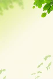 fresh spring green leaves h5 background green leaf background leaf background green leaves background