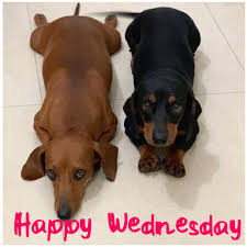 Happy Wednesday dear friends ❤️❤️❤️