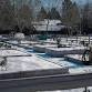 Greentree: Putting your Garden to Bed for Winter event image