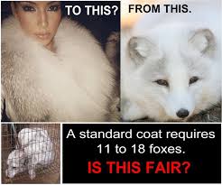 Kim Kardashian Stop Animal Cruelty Animal Cruelty Animal Rights