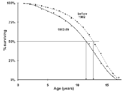 Poodle Longevity