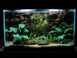 How To Clean Aquarium Sand Aquarium Sand Aquarium Backgrounds Saltwater Aquarium Beginner