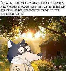 pin ot polzovatelya adriana na doske haski smeshnye risunki veselye memy memy