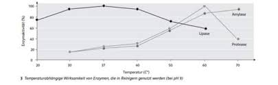 Herzlich willkommen zum großen produktvergleich. Ich Verstehe Die Aufgabe In Bio Nicht Enzyme Schule Biologie