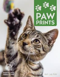 Most cats will hide instead of run when they're lost or in a scary situation. Paw Prints By Hawaiian Humane Society April July 2020 By Hawaiian Humane Issuu
