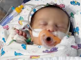 Fundraiser for Alexandra Escamilla by Alexa Lott : Luke Austin Coy HLHS Fund