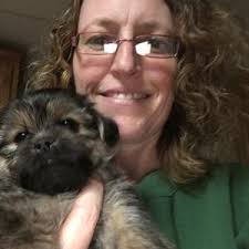 Zeebee Tzus in Pennsylvania