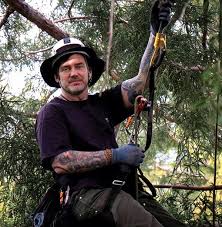 Prune or treat trees or shrubs using handsaws, hand pruners, clippers, and power pruners. Cool Jobs Professional Tree Climber Scientific American