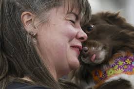 Call it the Dog Bowl. Westminster show's canine athletes get their piece of  Super Bowl weekend