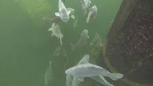 We did not find results for: Lomecek Aktualni Viditelnost Facebook