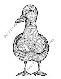 Zentangle Duck Colouring Page Animal Colouring Zentangle Coloring Sheet Bird Zentangle Pdf Intr Zentangle Animals Coloring Pages Animals